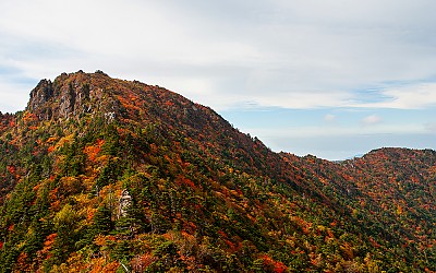오색찬란한,