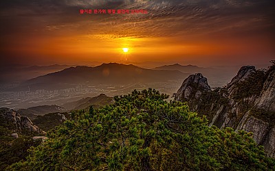 한가위 명절 즐겁게 보내세요.