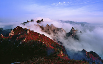 설악 단풍과 운해
