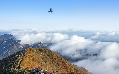가즈아~~ 가을로