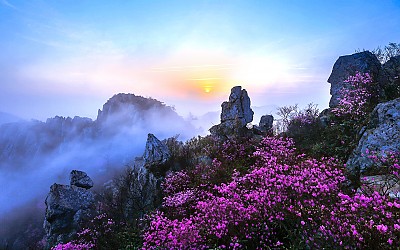 주작산 3