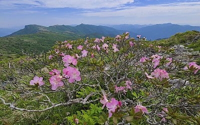 신불산에서