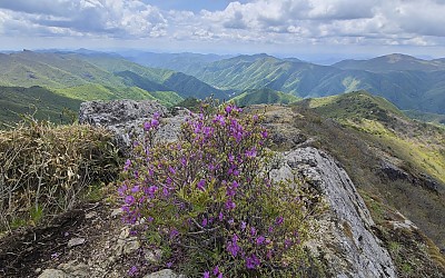 신불산에서