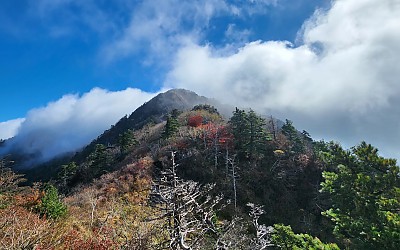 가을 지리산
