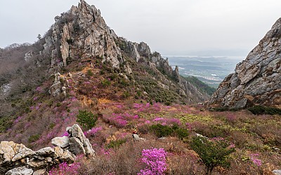 산행중에