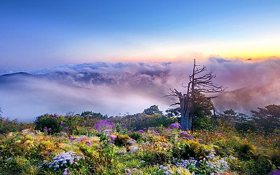 함백산