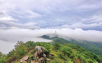 가을 해무