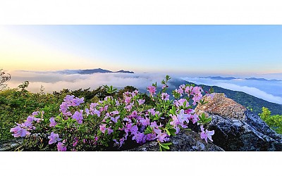 금정산 운해