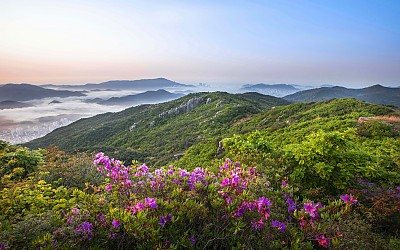 금정산