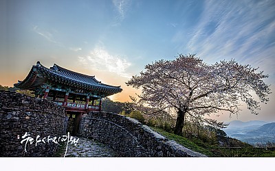 4월의 봄