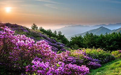 팔랑치의 아침