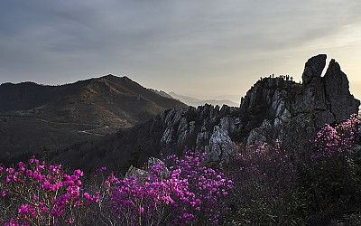 봄을 기다리며,