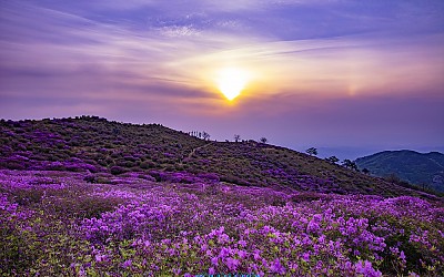 황매산 아침