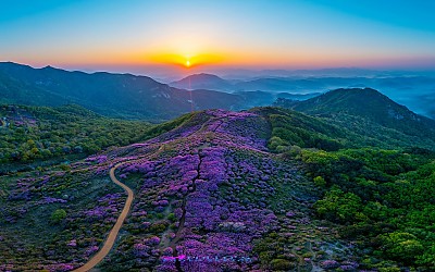 황매산 아침3 -드론사진