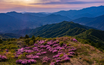 바래봉에서 드론사진