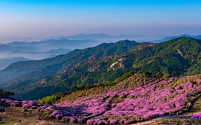 황매산 아침 - 드론사진