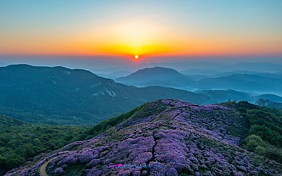 황매산 아침2