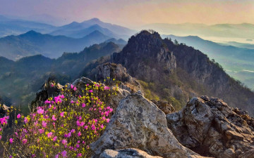 덕룡산 새벽아침