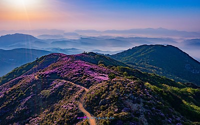 황매산
