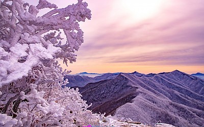 민주지산