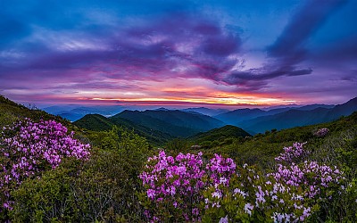 여명이 좋았던날