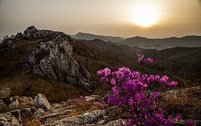 주작산의 일몰시간