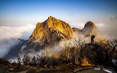 진사의 카멜속엔