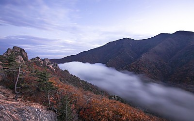 운해 방류