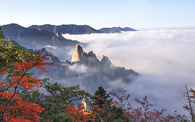 범봉과 단풍
