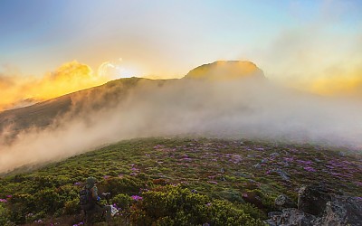 한라산2