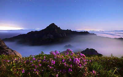 별밤의 월출산