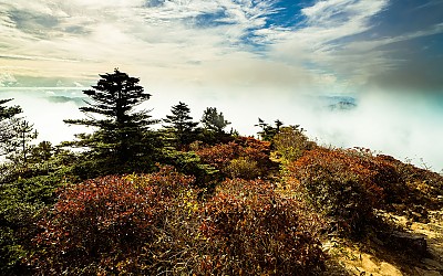 반야봉 가을