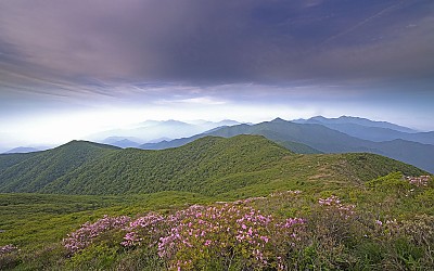중봉