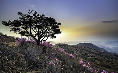 황매산