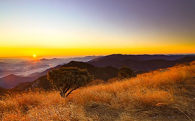 가지산