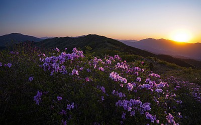 봉화산!