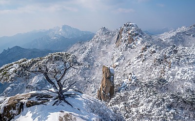 오늘 도봉산 설경