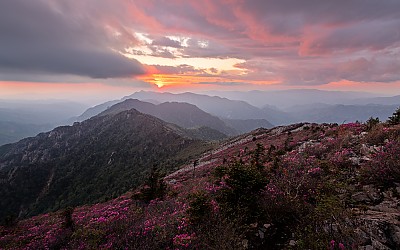 저물어 가는 봄 늦은 저녁 빛