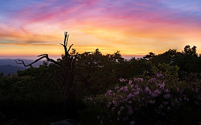 덕 유 산
