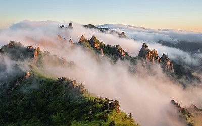 설악의 新綠