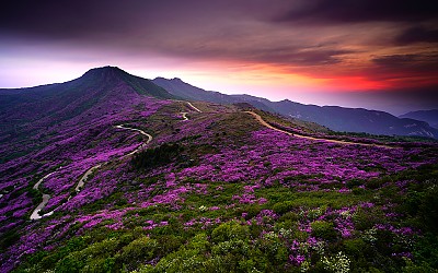 황매산