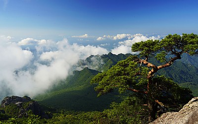 가야산 !