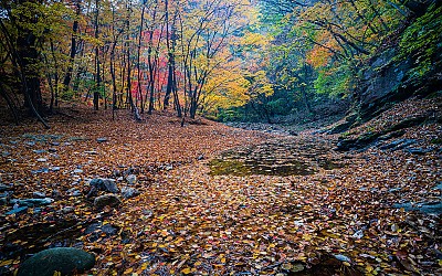 주왕산 !
