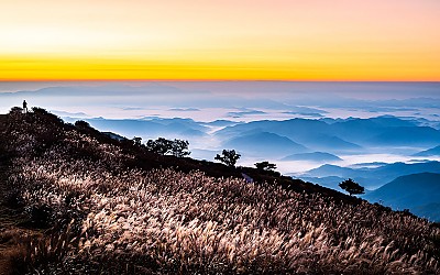 황매산 !