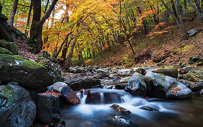 가야산 !