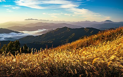 장안산 !