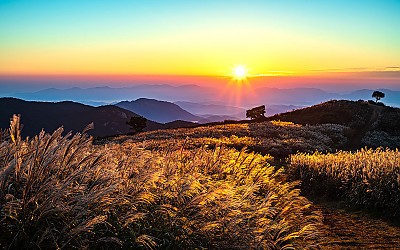 황매산 !
