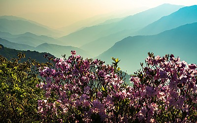 지리산 !