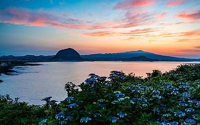 송악산 !
