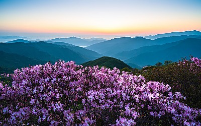 지리산 !
